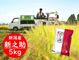 【ふるさと納税】 新潟県阿賀野市産 新之助 5kg 精米 白米 生産者が食べたいと思えるお米