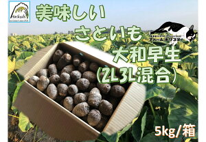 yӂ邳Ɣ[ŁzsY Ƃ ut@[zRVtv TCY 5kg   V