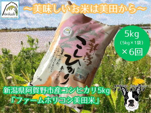 yӂ邳Ɣ[Łzyߘa7NYVāzy6ցzsY RVqJ ut@[zRVcāv 5kg×6  