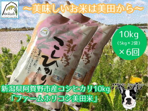 yӂ邳Ɣ[Łzyߘa7NYVāzy6ցzsY RVqJ ut@[zRVcāv 10kgi5kg×2܁j×6  