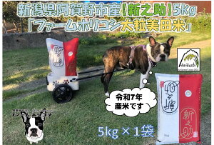 yӂ邳Ɣ[Łzyߘa7NYVė\zsYVVut@[zRV VVv5kg   10{菇\