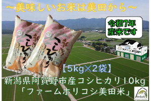 yӂ邳Ɣ[Łzyߘa7NYVė\zsY RVqJ ut@[zRVcāv 10kgi5kg×2܁j   10{菇\