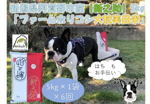 yӂ邳Ɣ[Łzyߘa7NYVāzy6ցzsY VV ut@[zRV VVv 5kg×6  