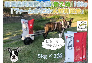 yӂ邳Ɣ[Łzyߘa7NYVāzsYVVut@[zRV VVv10kgi5kg×2܁j  