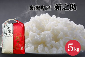 yӂ邳Ɣ[Łz yߘa7NYVāz VV5kg V s    RN Ö |