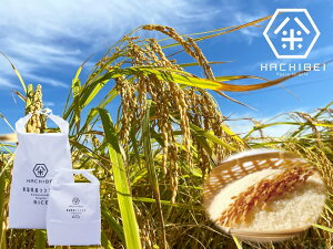 yӂ邳Ɣ[Łzyߘa7NYVāzyObhCtA[hb܎܁z 3  RVqJ 5kg×3 v15kg ق̂Âu݂͂_@v   HACHIBEI 