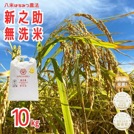 【ふるさと納税】【令和7年産】【環境大臣賞受賞】【特別賞受賞】無洗米 新之助 10kg 農家直送 ほんのり甘い「はちみつ農法」 白米 精米 HACHIBEI 八米 新潟県、米、こめ、コメ