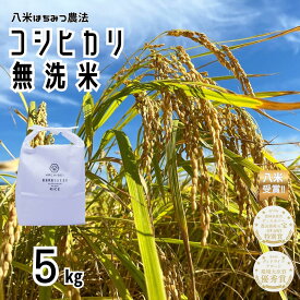 【ふるさと納税】【令和7年産】【環境大臣賞受賞】【特別賞受賞】無洗米 コシヒカリ 5kg 農家直送 ほんのり甘い「はちみつ農法」 白米 精米 HACHIBEI 八米 新潟県 米 こめ コメ