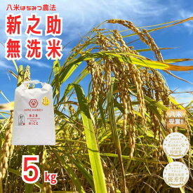 【ふるさと納税】【令和7年産】【環境大臣賞受賞】【特別賞受賞】無洗米 新之助 5kg 農家直送 ほんのり甘い「はちみつ農法」 白米 精米 HACHIBEI 八米 新潟県、米、こめ、コメ