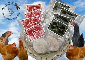 【ふるさと納税】地鶏 と 軍鶏 のハンバーグセット 鶏肉 ハンバーグ モモ肉 国産 天然飼料 保存料不使用 食品添加物不使用 無添加 お子様 こども お年寄り やわらか ふんわり 平飼い 新潟県 阿賀野市 冷凍
