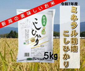 【ふるさと納税】【令和7年産】ミネラル栽培こしひかり 5kg 白米 精米 井上米穀店
