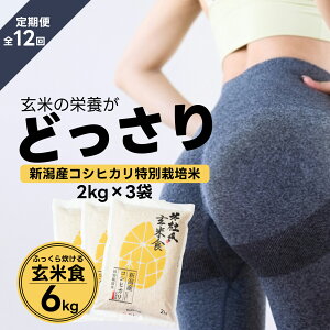 【ふるさと納税】 【令和7年産新米】【12ヶ月定期便】【炊飯器で普通に炊ける玄米】 ふっくら玄米食 6kg(2kg×3)×12回 新潟県阿賀野市産 米杜氏 壱成 特別栽培コシヒカリ