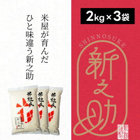 【ふるさと納税】【令和7年産】特別栽培米 新之助 6kg (2kg×3袋) 米杜氏 壱成 白米 精米 大粒 つや 光沢 弾力 芳醇 新潟県 米 こめ コメ
