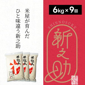yӂ邳Ɣ[Łzyߘa7NYVāzy9ցzʍ͔| VV 6kg (2kg×3)×9 ēm 됬   嗱   e F