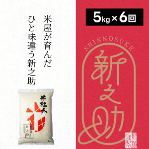 yӂ邳Ɣ[Łzyߘa7NYVāzy6ցz ʍ͔| VV 5kg (5kg×1)×6 ēm 됬   嗱   e F