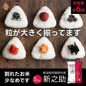 yӂ邳Ɣ[Łz yߘa7NYVāzy6ցz VV 5kg×6 v 30kg ēm 됬   嗱   e F