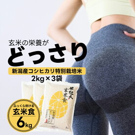 【ふるさと納税】 【令和7年産】【炊飯器で普通に炊ける玄米】 ふっくら玄米食 6kg（2kg×3） 新潟県阿賀野市産 米杜氏 壱成 特別栽培コシヒカリ