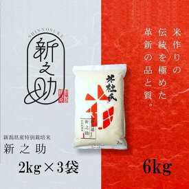 【ふるさと納税】米杜氏 阿賀野市産 特別栽培米 新之助 6kg