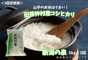 yӂ邳Ɣ[Łzyߘa7NYVė\zy3ցz RVqJ uV̐v 5kg×3 v15kg _Y  _ƒ RhbN  10{菇\