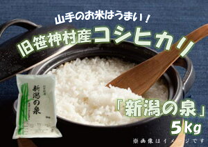 yӂ邳Ɣ[Łzyߘa7NYVāzRVqJ uV̐v 5kg _Y  _ƒ RhbN  10{菇