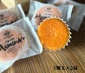 yӂ邳Ɣ[Łz傱 X_}h[ki~Nj5×2Zbg َq َq XC[c 