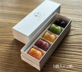 【ふるさと納税】しょこら亭 シャ・ド・フリュイ（chat・do・fruits） 5個入り×2セット お菓子 菓子 スイーツ 洋菓子 フランス伝統菓子 贈答