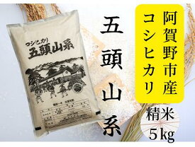 【ふるさと納税】「米屋のこだわり阿賀野市産」コシヒカリ5kg