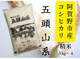 【ふるさと納税】「米屋のこだわり阿賀野市産」コシヒカリ どーんと20kg！