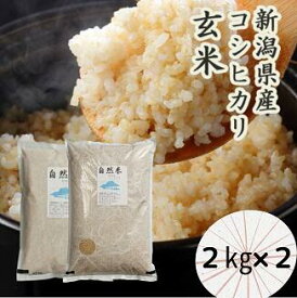 【ふるさと納税】「米屋のこだわり阿賀野市産」GOZU　自然米玄米2kg×2袋