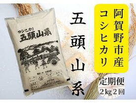 【ふるさと納税】「米屋のこだわり阿賀野市産」≪2回定期便≫コシヒカリ2kg×2回