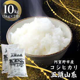 【ふるさと納税】【令和7年産】「米屋のこだわり阿賀野市産」コシヒカリ 10kg 新潟県 阿賀野市 五頭山系 米 こめ コメ 白米 精米 かたぎり