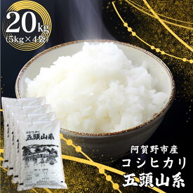 【ふるさと納税】【令和7年産】「米屋のこだわり阿賀野市産」コシヒカリ どーんと20kg！新潟県 阿賀野市 五頭山系 米 こめ コメ 白米 精米 かたぎり