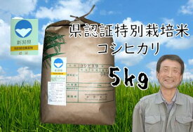 【ふるさと納税】【令和7年産】新潟県認証 特別栽培米 コシヒカリ 5kg 新潟県 阿賀野市 白米 精米 さいとう農園