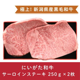 【ふるさと納税】にいがた和牛 サーロインステーキ 250g×2枚 にいがた和牛 黒毛和牛 牛肉 肉 牛 赤身肉 柔らか 上質 国産 ブランド牛 冷凍 化粧箱入 のし 贈答 贈り物 ギフト プレゼント お中元 お歳暮 父の日 母の日 敬老の日 ステーキ 新潟県 阿賀野市