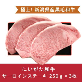 【ふるさと納税】にいがた和牛 サーロインステーキ 250g×3枚 にいがた和牛 黒毛和牛 牛肉 肉 牛 赤身肉 柔らか 上質 国産 ブランド牛 冷凍 化粧箱入 のし 贈答 贈り物 ギフト プレゼント お中元 お歳暮 父の日 母の日 敬老の日 ステーキ 新潟県 阿賀野市