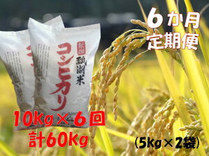 yӂ邳Ɣ[Łzy ߘa7NYV zy6ցzVY RVqJuZΕāv 10kg×6