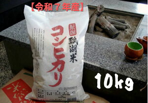 【ふるさと納税】【 令和7年産新米予約 】新潟産 コシヒカリ 「瓢湖米」 10kg (5kg×2袋) 11月上旬より順次発送予定 米 こめ コメ 精米 白米 新潟県 阿賀野市
