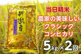 【ふるさと納税】【令和7年産】【2ヶ月定期便】 当日精米! 農家直送 美味しい クラシックコシヒカリ 5kg×2回 計10kg 新潟県 阿賀野市 精米 白米 従来品種 水原町農産センター 新潟県 米 こめ コメ 定期便