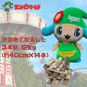 yӂ邳Ɣ[Łz XMd 12kg 40cm×14{ V s VnŐd dXg[u BBQ Lv d TgsA[h ~GxԊp