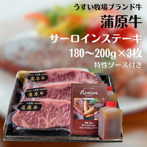 yӂ邳Ɣ[Łz T[C Xe[L Zbg 180g`200g×3 IWi a \[X t ~[gt[YEXC