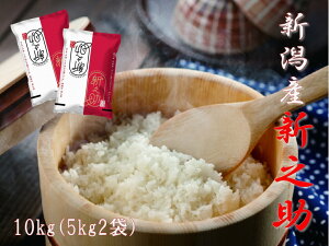 yӂ邳Ɣ[Łzyߘa7NYVāz _ƒ VsY VV 10kg (5kg×2)   ̂ VY uh 嗱  c