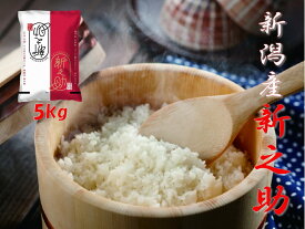 【ふるさと納税】【令和7年産】 農家直送 新潟県阿賀野市産 新之助 5kg (5kg×1袋) 精米 白米 しんのすけ 新潟産 ブランド米 大粒 香り ツヤ 新潟県 米 こめ コメ