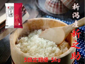 【ふるさと納税】【令和7年産】 ≪5か月定期便≫ 農家直送 新潟県阿賀野市産 新之助 5kg (5kg×1袋) ×5回 精米 白米 しんのすけ 新潟産 ブランド米 大粒 香り ツヤ 新潟県 米 こめ コメ