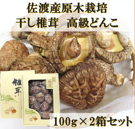 【ふるさと納税】肉厚!佐渡産高級どんこしいたけ　100g×2箱セット