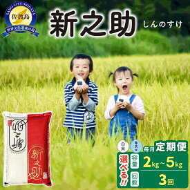 【ふるさと納税】【3か月定期便】米 新之助 2kg 4kg 5kg 選べる 白米 無洗米 令和8年産 佐渡島産 都度精米 しんのすけ 大粒 ごはん おにぎり お弁当 新潟県 佐渡市