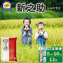 楽天市場】新米 令和8年（米・雑穀｜食品）の通販