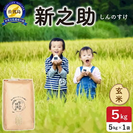 【ふるさと納税】米 新之助 玄米 5kg 1袋 令和7年産 佐渡島産 一等米 しんのすけ げんまい 単一原料米 大粒 世界農業遺産の島 ごはん 朝食 新潟県 佐渡市