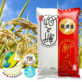 【ふるさと納税】米 新之助 5kg 令和7年産 佐渡産 精米 白米 環境保全型農業 世界農業遺産 単一原料米 大粒 しんのすけ ごはん おにぎり お弁当 新潟県 佐渡市