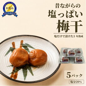 【ふるさと納税】梅干し 100g 5パック 計500g 佐渡産 3年熟成 塩分20パーセント 昔ながら 完全無添加 常温保存 うめぼし ごはん おにぎり お弁当 新潟県 佐渡市