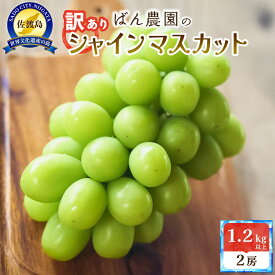 【ふるさと納税】【2026年9月発送】訳ありシャインマスカット2房　1.2kg　佐渡島産